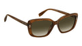 Marc Jacobs MJ 1147/G/S EX4-9K Marron corne - autre vue trois-quarts