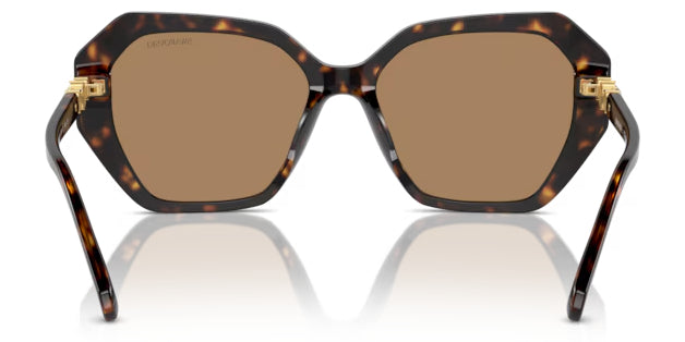 Lunettes de soleil Swarovski SK6017 1002M4 Havane foncé - vue arrière