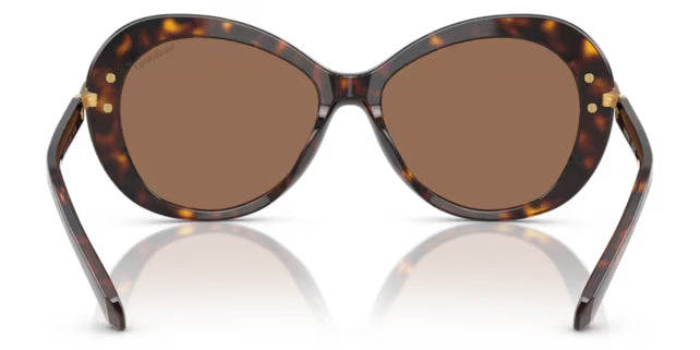 Lunettes de soleil Swarovski SK6026 100273 Havane - vue arrière