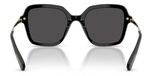 Lunettes de soleil Swarovski SK6040 100187 noires - vue arrière