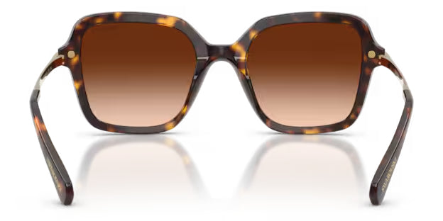 Lunettes de soleil Swarovski SK6040 100274 Havane - vue arrière