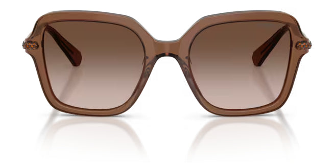 Lunettes de soleil Swarovski SK6040 106713 Marron transparent - vue de face