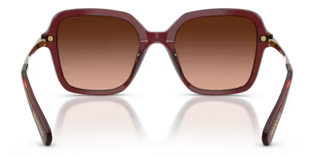 Lunettes de soleil Swarovski SK6040 10735M Bordeaux transparent - vue arrière