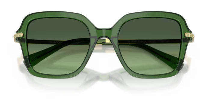 Lunettes de soleil Swarovski SK6040 10812A Vert foncé transparent - vue de face, branches repliées