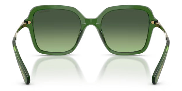 Lunettes de soleil Swarovski SK6040 10812A Vert foncé transparent - vue arrière