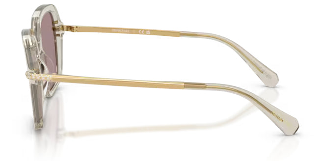 Lunettes de soleil Swarovski SK6040 3003LA Beige transparent - vue de côté