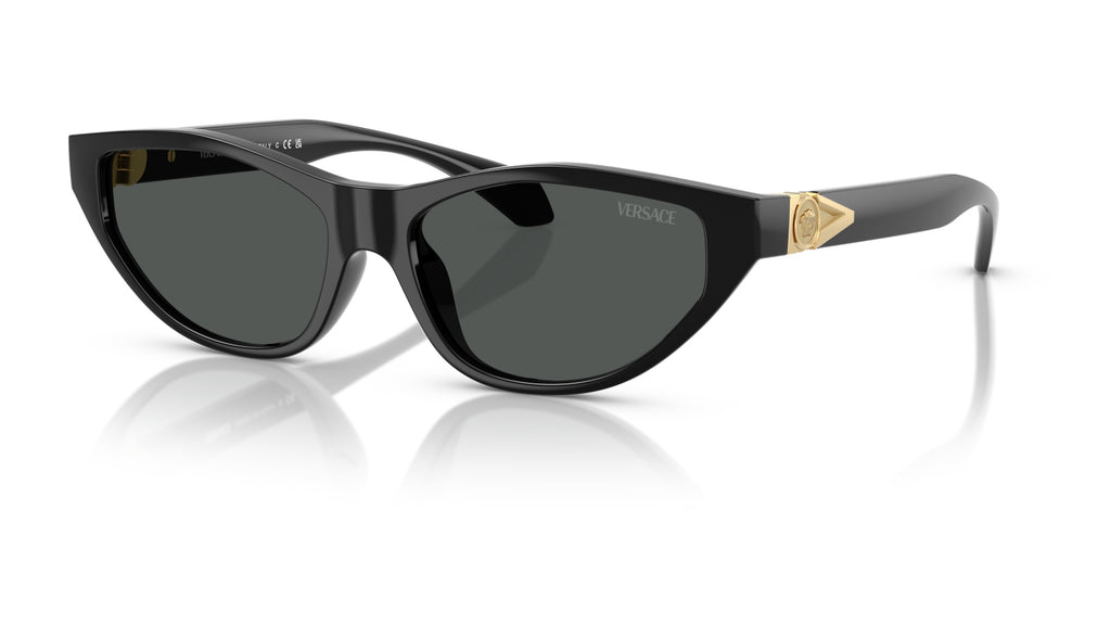 Lunettes de soleil Versace VE4491U GB1/87 – Noir – vue de trois quarts.