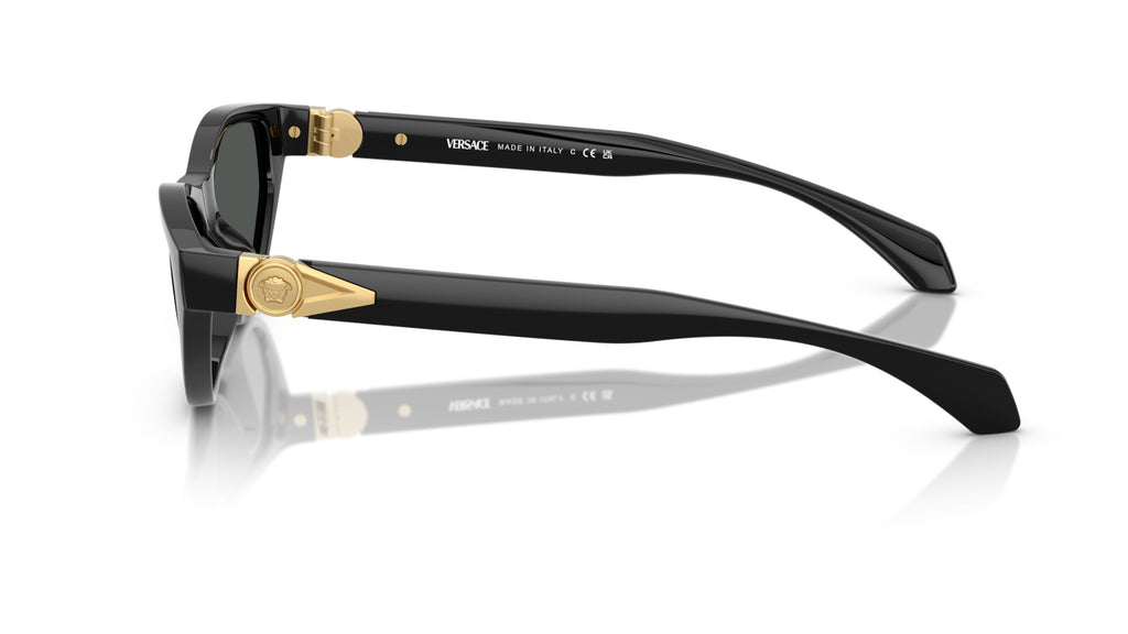 Lunettes de soleil Versace VE4491U GB1/87 – Noir – vue de profil.