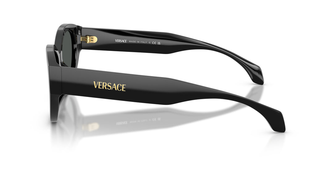 Lunettes de soleil Versace VE4495D GB1/87 – Noir – vue de profil.