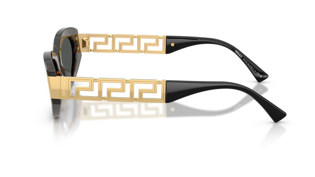 Lunettes de soleil Versace VE4501 552887 – Marron Écaille de tortue – vue de profil.
