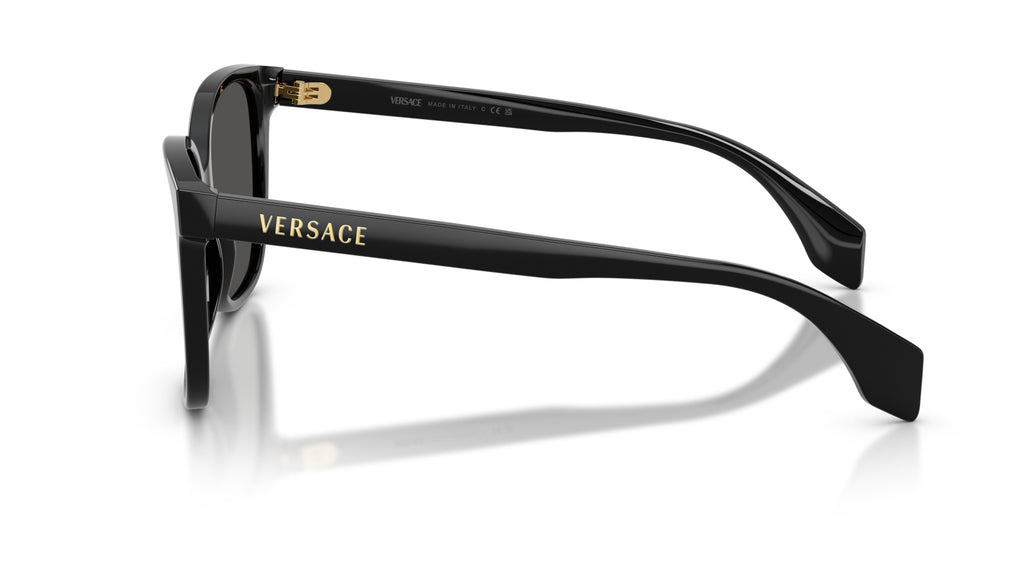 Lunettes de soleil Versace VE4523 GB1/87 – Noir – vue de profil.