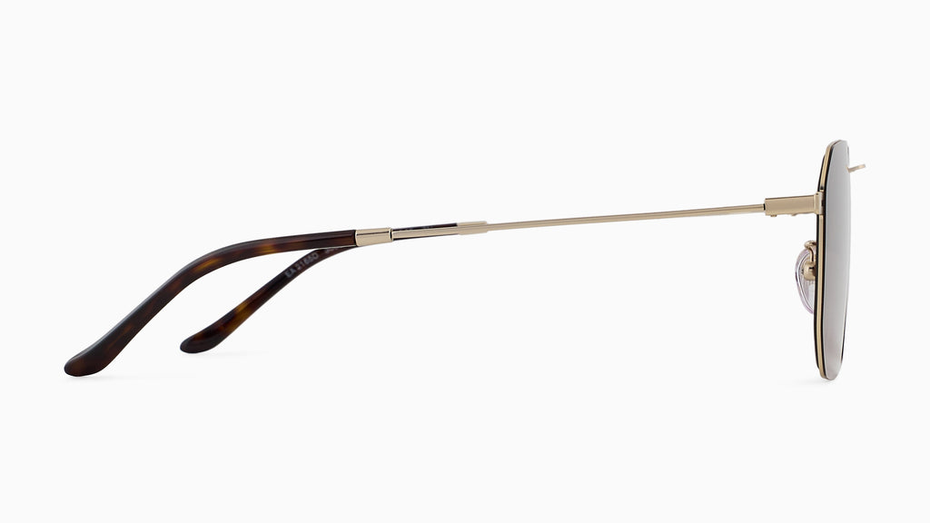 Emporio Armani EA2165D 300213 Or pâle mat - vue de côté
