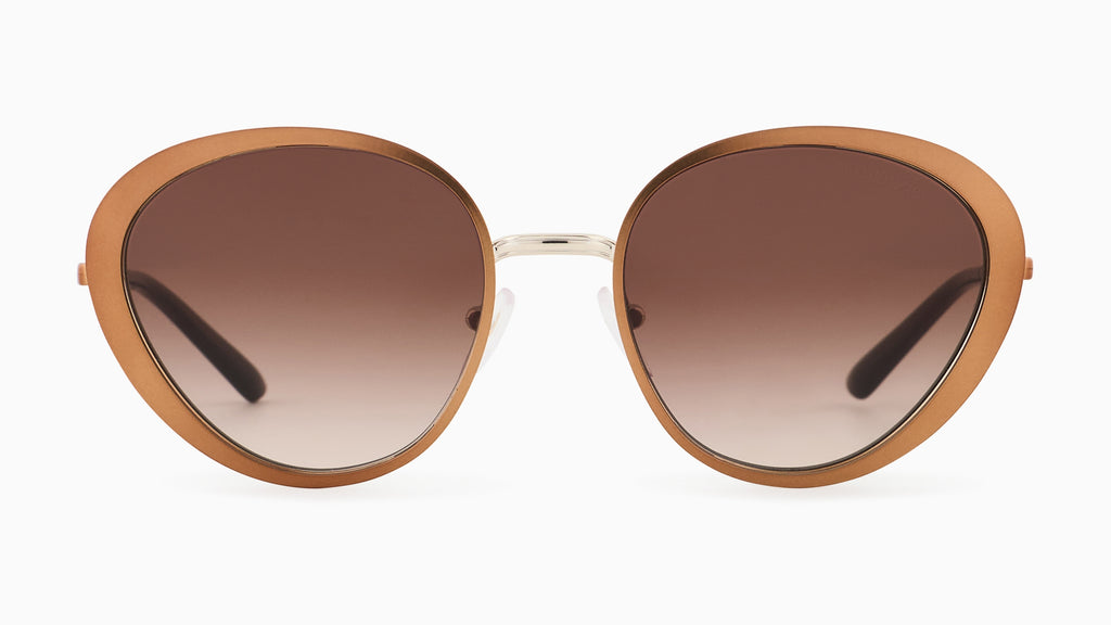 Emporio Armani EA2177 344113 Marron mat - vue de face