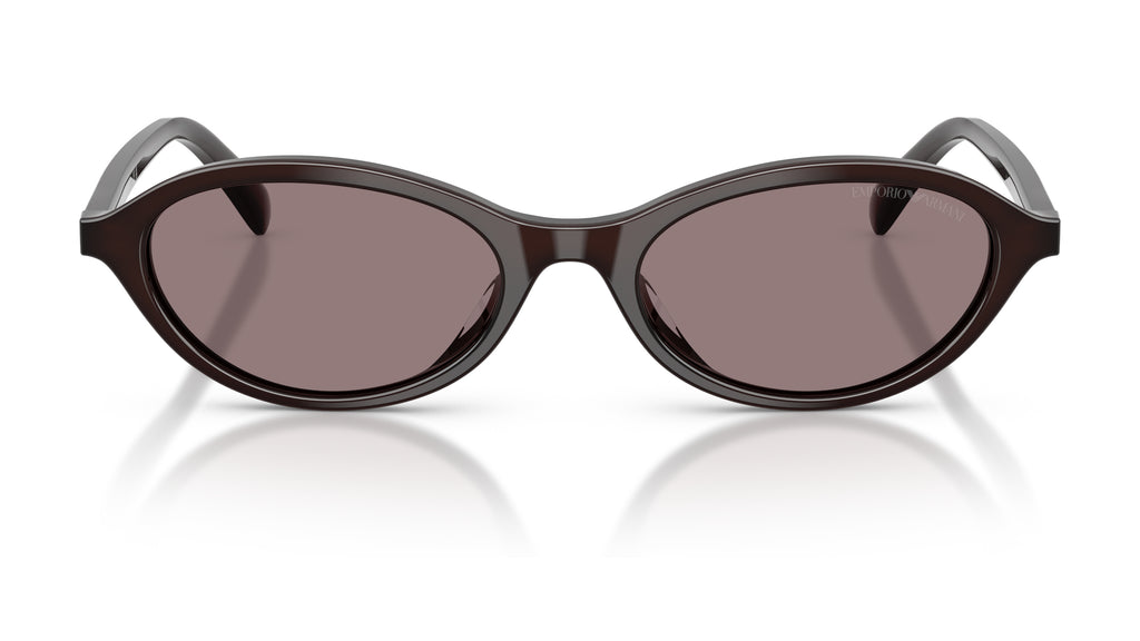 EA4281U - Marron opaline brillant