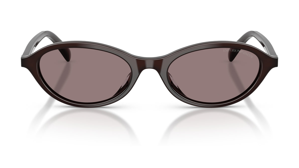 EA4281U - Marron opaline brillant