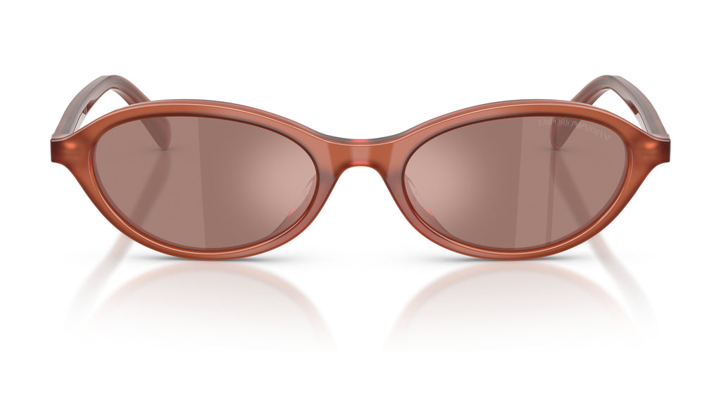 EA4281U - Marron clair opale brillant