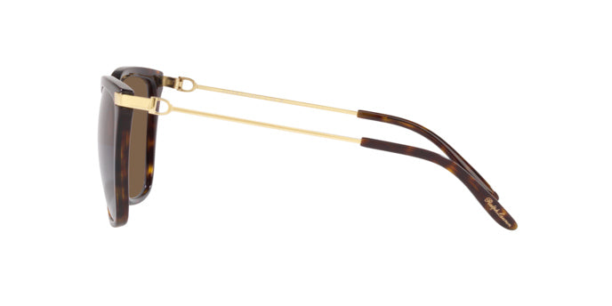 Ralph Lauren RL8209 500373 Havane foncé brillant - vue de côté