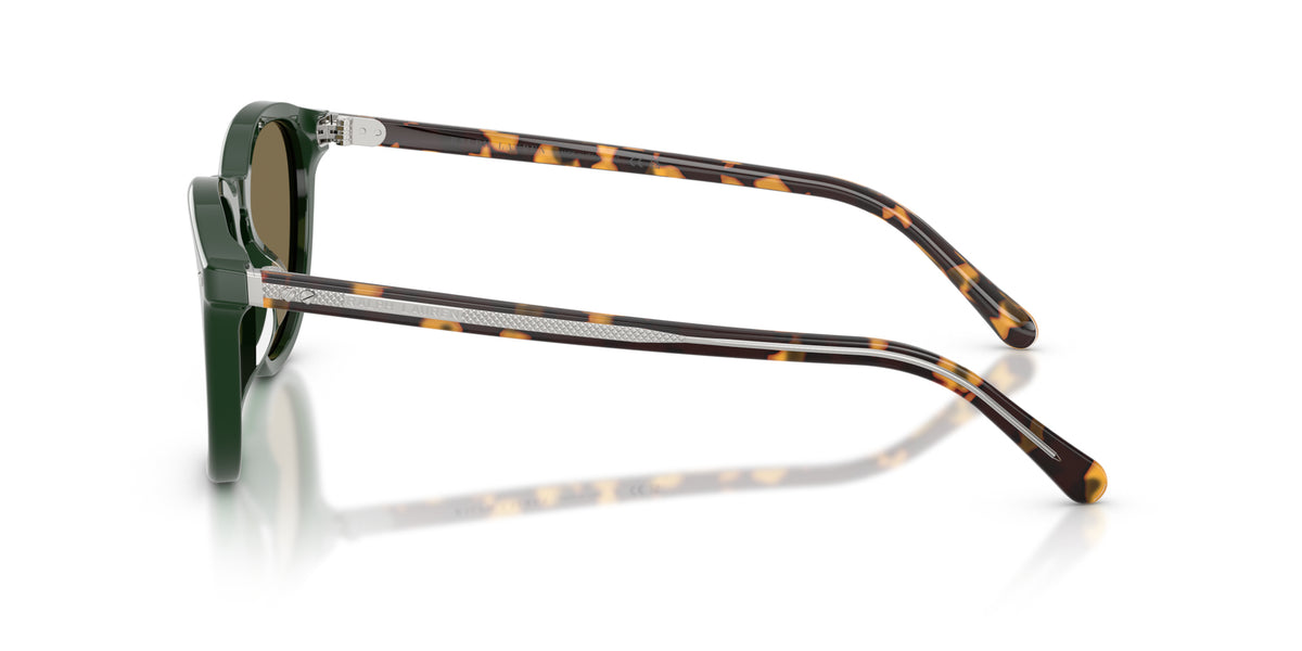 Ralph Lauren RL8241U 614073 Vert forêt - vue de côté