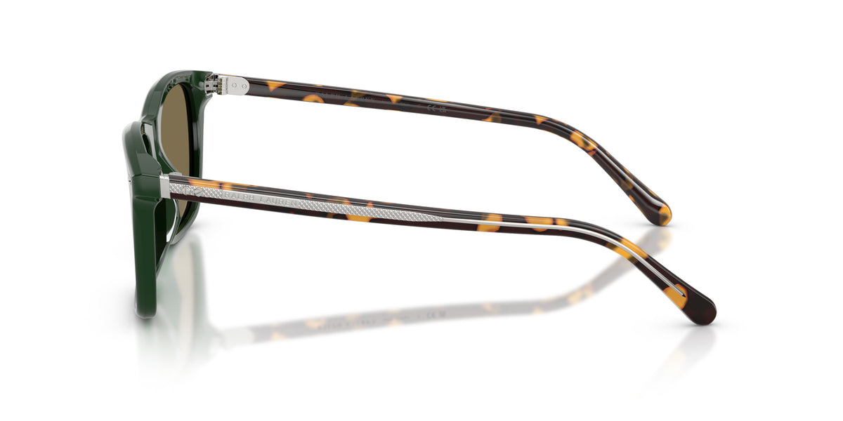 Ralph Lauren RL8242U 614073 Vert forêt - vue de côté