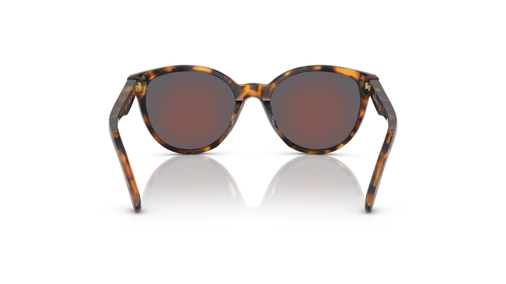 Versace Kids VK4427U 51196Q Havane - vue arrière