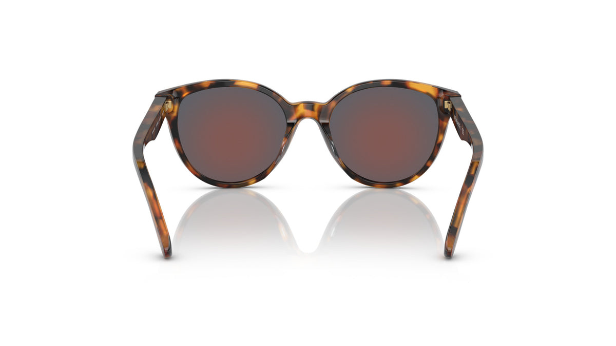 Versace Kids VK4427U 51196Q Havane - vue arrière